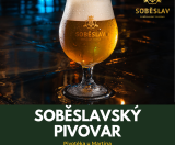 Soběslavský pivovar - Pivotéka u Martina, Brno