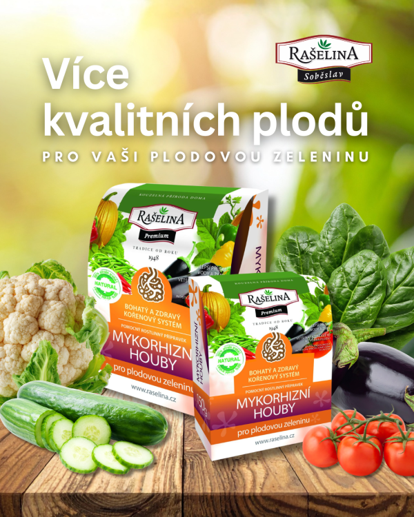 MYKORHIZNI HOUBY PRO PLODOVOU ZELENINU 1