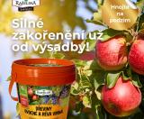 Proč hnojit ovocné dřeviny na podzim? Připravte zahradu na zimu i další sezónu