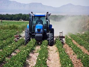 tractor in cotton field1