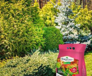 instagram pispvek ZK 7