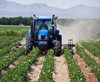 tractor in cotton field1